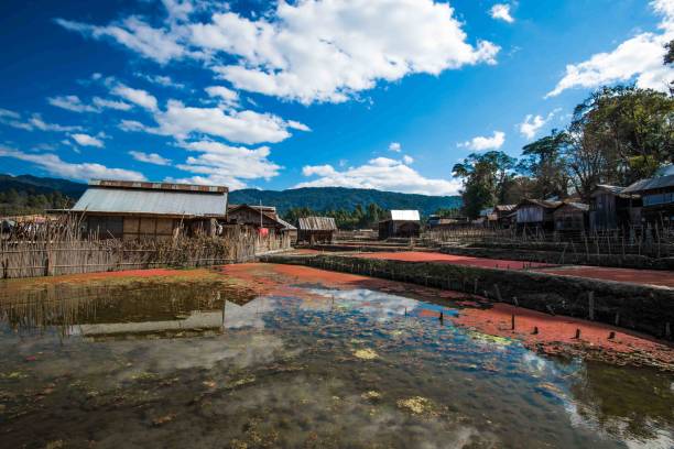 Ziro Valley in Arunachal Pradesh is home to Apatani tribe.